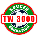 تيلت وينغ 3000
